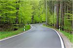 Winding road through forest in spring with lush green foliage. Bavaria, Germany.