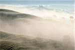 Typical Tuscany landscape in morning with fog near San Quirico d'Orcia. Val d'Orcia, Orcia Valley, Siena district, Tuscany, Toscana, Italy.