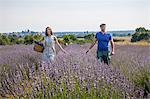 Young Couple In Lavender Field, Croatia, Dalmatia, Europe