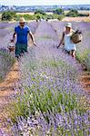 Young Couple In Lavender Field, Croatia, Dalmatia, Europe