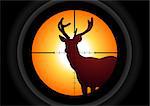 Vector illustration of a rifle lens aiming a deer