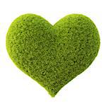 Green grass heart. Isolated on white.