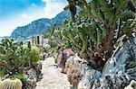 Fragment of a garden of cacti and succulents in Monaco. Jardin Exotique de Monaco.