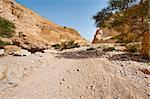 Dry Riverbed in the Judean Desert