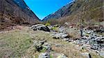 Mountain Stream in the Italian Alps, Piedmont