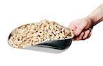 Man holding a metallic scoop full of wood pellets. Wood pellets made from industrial wood waste and are used for fuel.