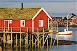 Typical red rorbu hut with turf roof in town of Reine on Lofoten islands in Norway