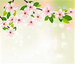 Spring background with blossoming tree brunch with spring flowers.Vector