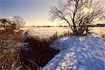 Dutch canal, wooden fence and tree in snow at sunrise