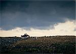 The bulldozer on a garbage dump