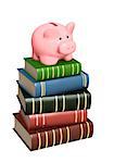 Piggy bank and books. Objects isolated over white