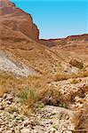 Canyon in the Judean Desert on the West Bank