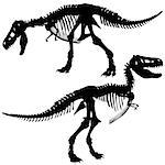 Editable vector silhouettes of the skeleton of a Tyrannosaurus rex dinosaur