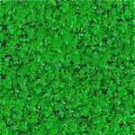 Seamless Tileable Texture of Green Meadow Grass.