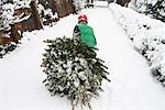 Boy dragging Christmas tree down street