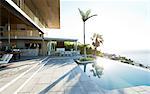 Palm tree in infinity pool