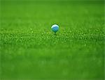 Golf Ball On Grass