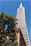 view of Transamerica building from Commercial St., San Francisco CA