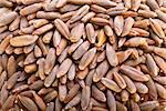 Dried rye seeds, close-up