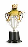 handsome prince - bullfrog in a trophy with a crown isolated on white background