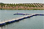 Floating dock in the reservoir of Alqueva, Amieira, Alentejo, Portugal