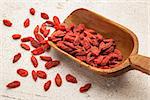 Tibetan goji berries (wolfberry) spilling of the wooden scoop on a rough white painted wood surface