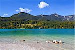 lavender clear Walchensee lake in Germany