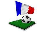 A piece of grass with a ball and an french  flag