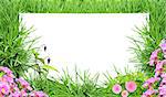 Green grass, flowers and white paper. Isolated over white