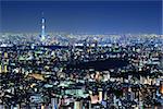 Tokyo Cityscape with Tokyo Sky Tree visible