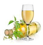 White wine and vine isolated on a white background