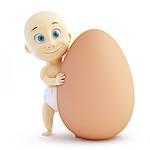 baby egg on a white background