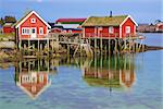 Traditional norwegian red rorbu huts with sod roof in town of Reine on Lofoten islands in Norway