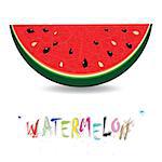 Watermelon fresh slices background. Red sweet juice pattern vector illustration.