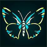 colorful butterfly vector illustration for your design