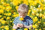 adorable caucasian boy smelling yellow flowers