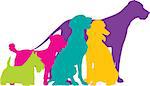 A group of five dogs, a Scottie, Mixed, German Pointer, Poodle and Great Dane are silhouetted in a variety of bright colours.