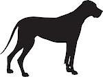 A Great Dane dog shown in black silhouette profile.