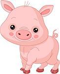Fun zoo. Illustration of cute Pig
