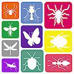 Wallpaper with insect silhouettes in colorful rectangles