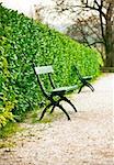 bench in park on road with green bushes