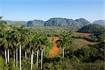 Nature and landscape, view of hills and mountains in Vinales, Cuba. Wide angle shot
