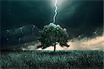 Storm of thunder and lighting over the alone tree