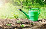 green watering can in garden on ground