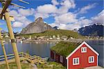 Typical red rorbu hut with sod roof in town of Reine on Lofoten islands in Norway