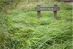 Reception Sign with Arrow in Grass, England