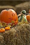 Jack-o-lantern and Squash on Hay Bale, Ontario, Canada