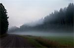 Foggy landscape with road