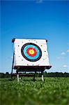 Archery target on meadow