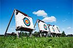 Archery targets on meadow